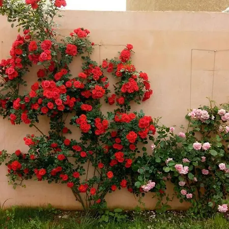 Provencale Climatisee Avec Piscine Privee