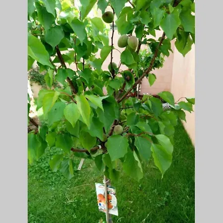 Provencale Climatisee Avec Piscine Privee *